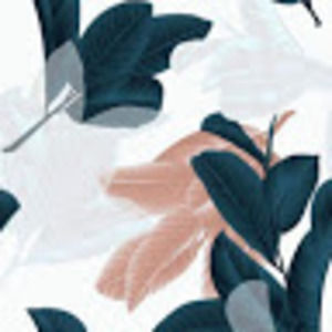 Meet your Posher, Ayah